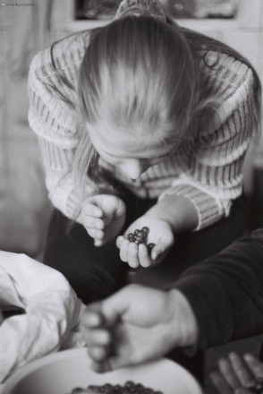 sorting-cranberries-tsjerablichy-2010_0