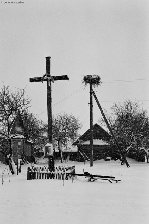 anoshki-2008