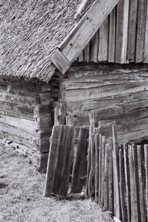 khrystsibalavichy-20102