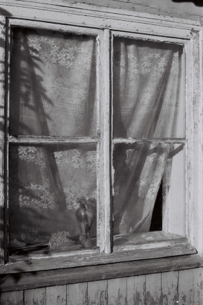 zakharychy-2010