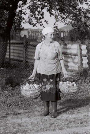first-apples-hlybachany-2010