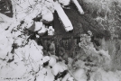 1-winter-ruins-of-old-mill-former-drutski-ljubjetski-estate-mankavichy-2012-2012003-f1010021