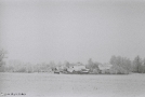 6-winter-pokrashava-2012-2012008b-f1000026