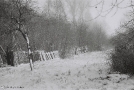 9-winter-vynja-2012-2012008a-f1000016