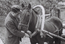 a-man-and-his-horse-tsjerablichy-2010