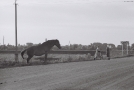 alpjen-2010