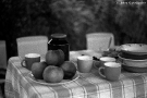 august-evening-at-summer-cottage-mjensk-region-2010