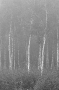 autumn-fog-ashmjany-district-2001