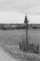 crosses-of-belarus-viii-nr-baruny-2008