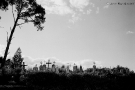 dunilavichy-2008-2008231-3a