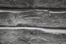 enduring-faces-viii-tsjerablichy-2012-2012015-f1110016