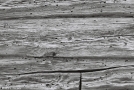 enduring-faces-ix-tsjerablichy-2012-2012019-27a-f1150028