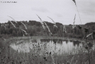 gods-eye-lake-braslau-district-2011-2011225-12a