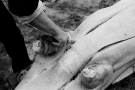 kalots-kabanchyka-201128