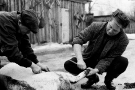 kalots-kabanchyka-20116