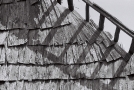 kastrychnitskaja-2010