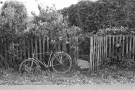 kazljeushchyna-2011-2011308a-6a