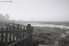 landscapes-of-belarus-tsjerablichy-2011-2011118-8a