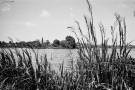 lipnishki-2008_1
