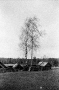 ljepjel-region