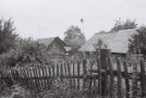 mikalajeva-2009_0