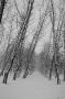 mjensk-20003