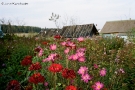 mjensk-region-2011-2011306-31