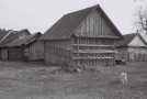 neat-yard-alert-watchdog-takaushchyna-2010