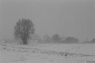 nr-kanstantsinava-2001