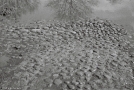 old-road-savichy-2011