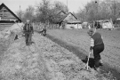 planting-potatoes-kamjen-2009-2009106-32