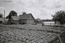 pljaban-2011-2011174-10a