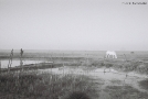 polesian-spring-tsjerablichy-2011