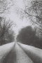 polesia-in-winter-viii-azdamichy-tsjerablichy-road-2012-2012018-f1060013