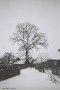 polesia-in-winter-xiii-tsjerablichy-2012-2012021-f1160015