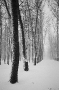 portraits-of-mjensk-20001