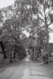 prastsi-20102