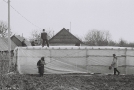 preparing-the-hothouse-azdamichy-2012-2012082b-12a