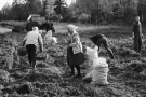 prudzishcha-2011-2011305-14a