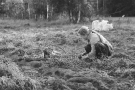 prudzishcha-2011-2011305-19a