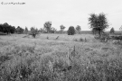 razed-village-the-zone-homjel-region-2001