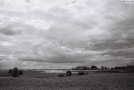 river-haryn-2010