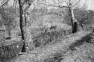 signs-of-spring-chareja-2007