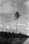 smaljany-2010_0