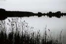 strjenki-2009