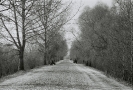 tsjerablichy-2009_0