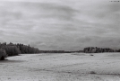 vjapraty-2010_4