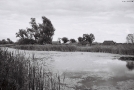 vjeljamichy-20106