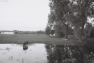 vjerasnitsa-2010_7