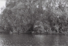 vjerasnitsa-2010_8